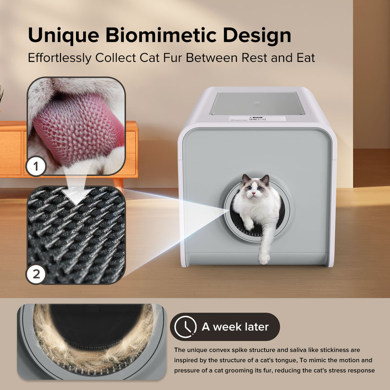 Automatic Cat Self Groomer